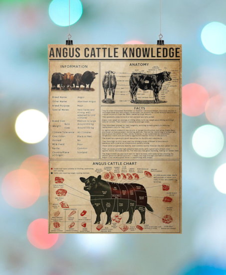 Angus cattle knowledge hot poster
