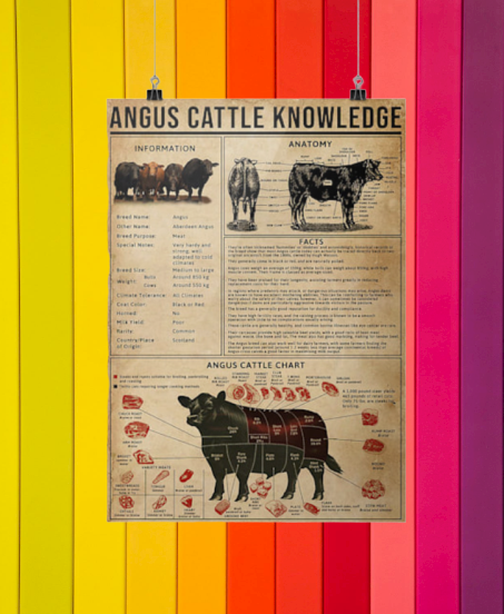 Angus cattle knowledge posters