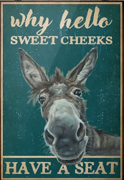 Donkey why hello sweet cheeks have a seat poster