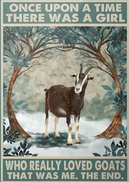 Once upon a time there was a girl who really loved goats poster