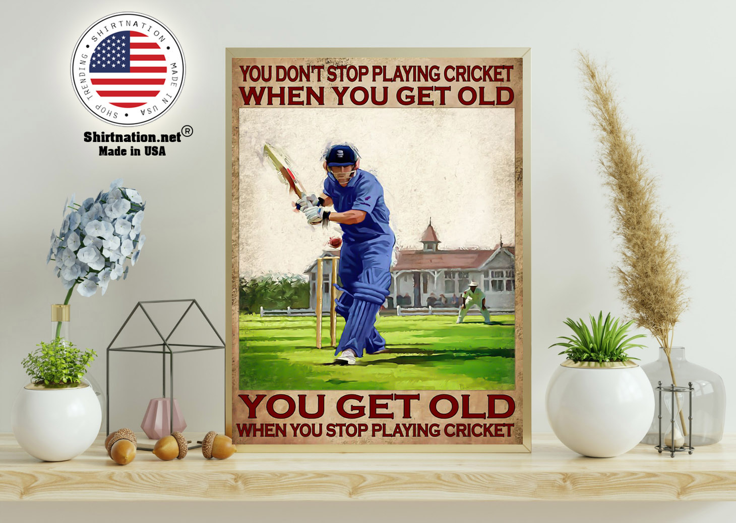 You dont stop playing cricket when you get old poster 11