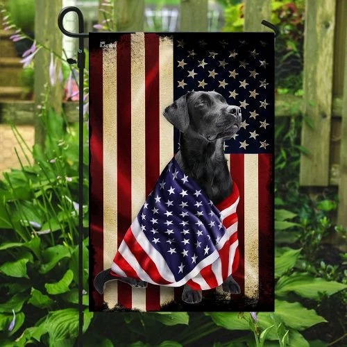 Black labrador retriever american patriot flag3