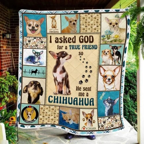 I ask God and he send me chihuahua bedding set2