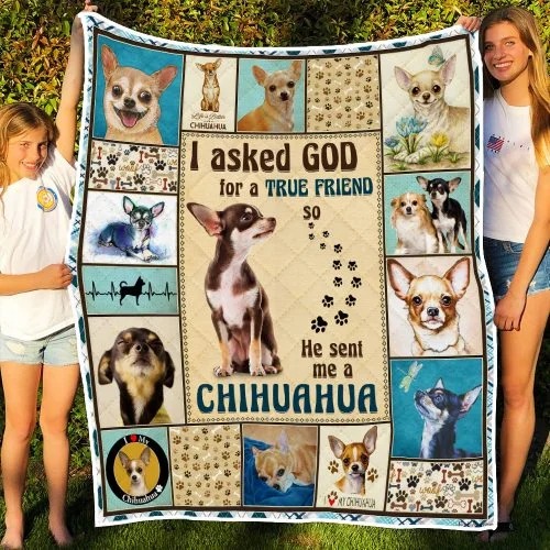 I asked god for a true friend so he sent me a chihuahua blanket3