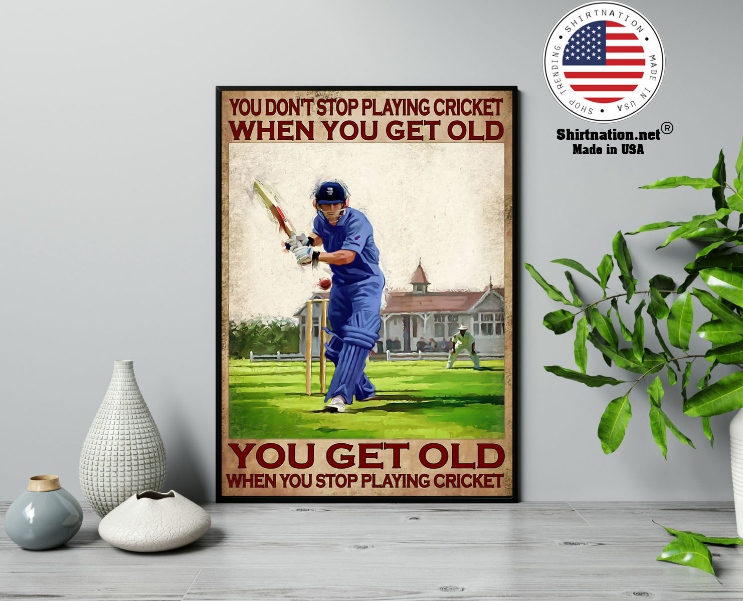 You dont stop playing cricket when you get old poster 13 1