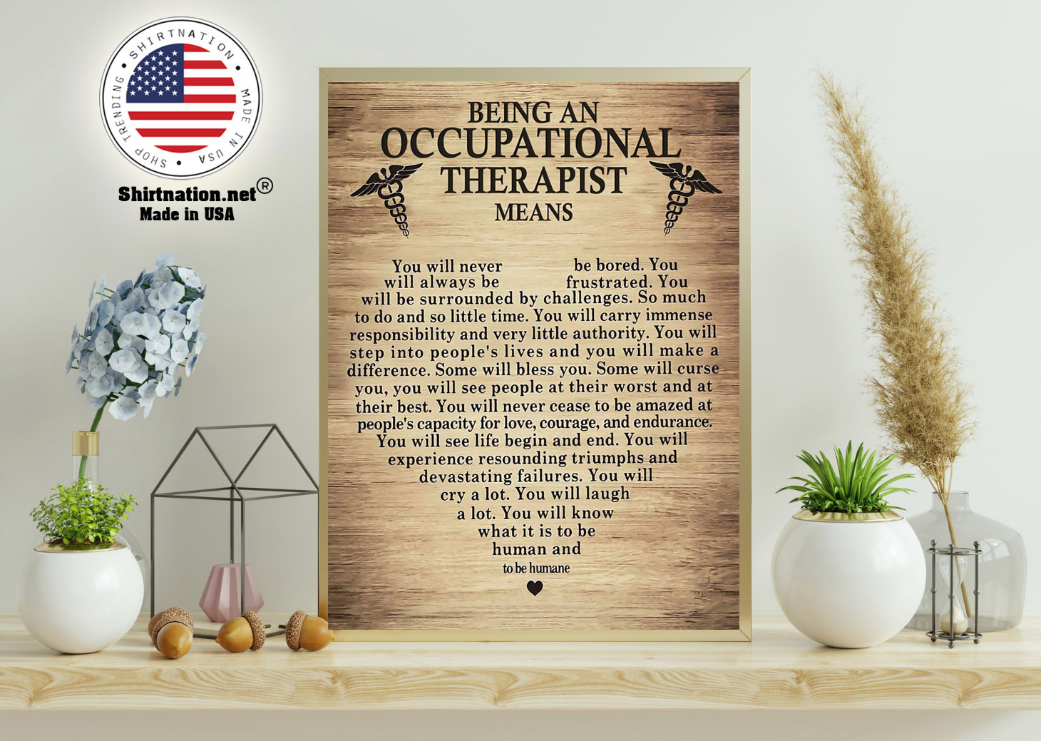Being an occupational therepist means poster 11