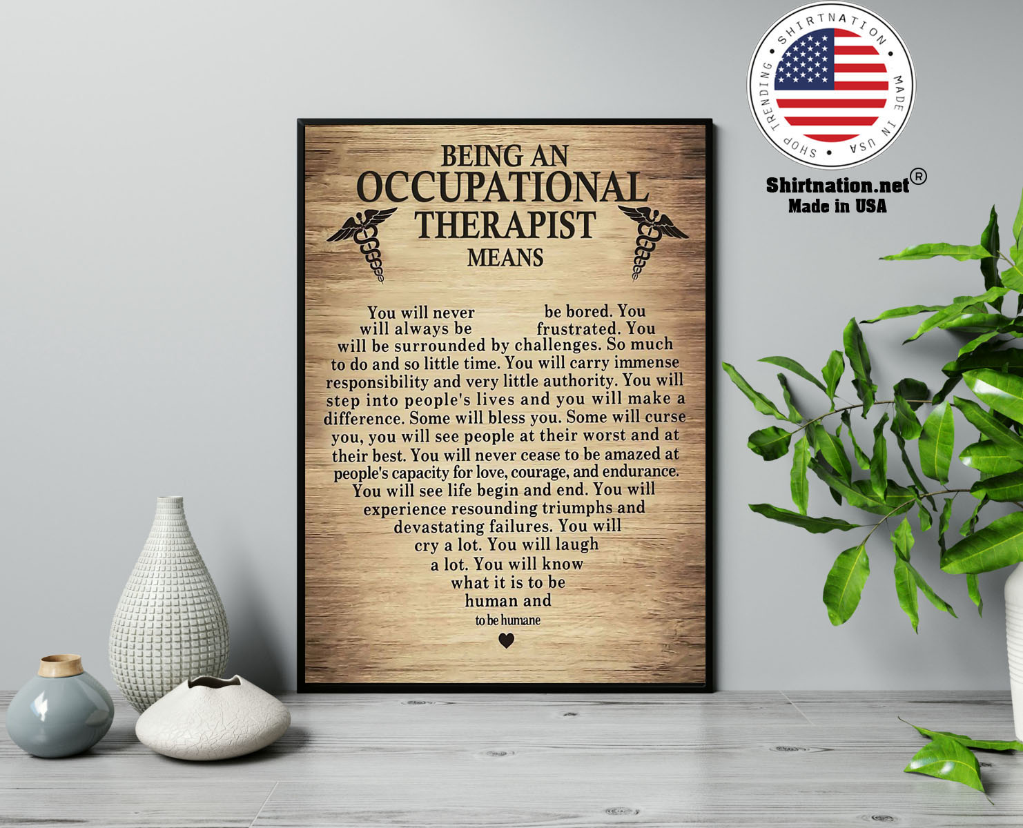 Being an occupational therepist means poster 13