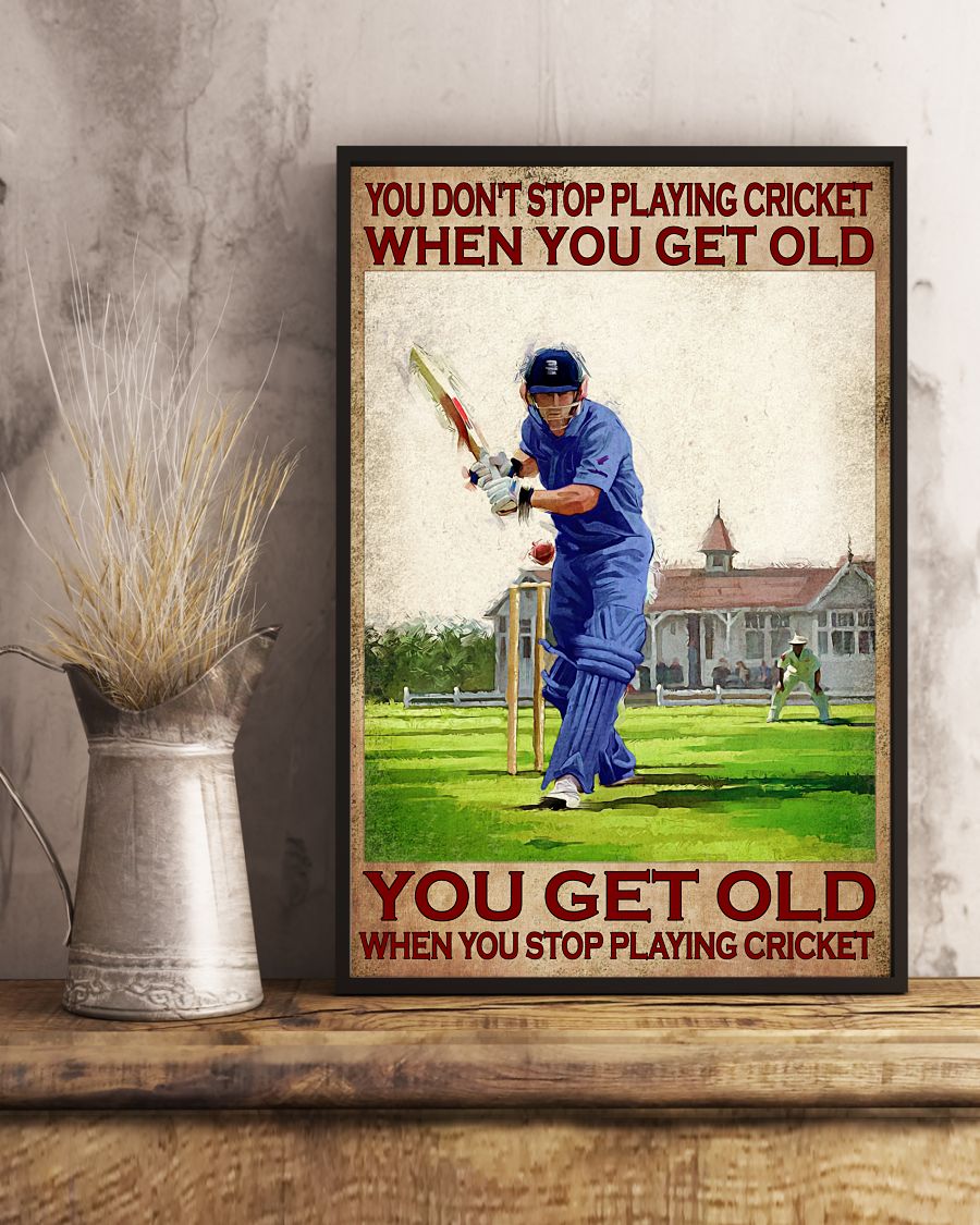 You dont stop playing cricket when you get old poster2