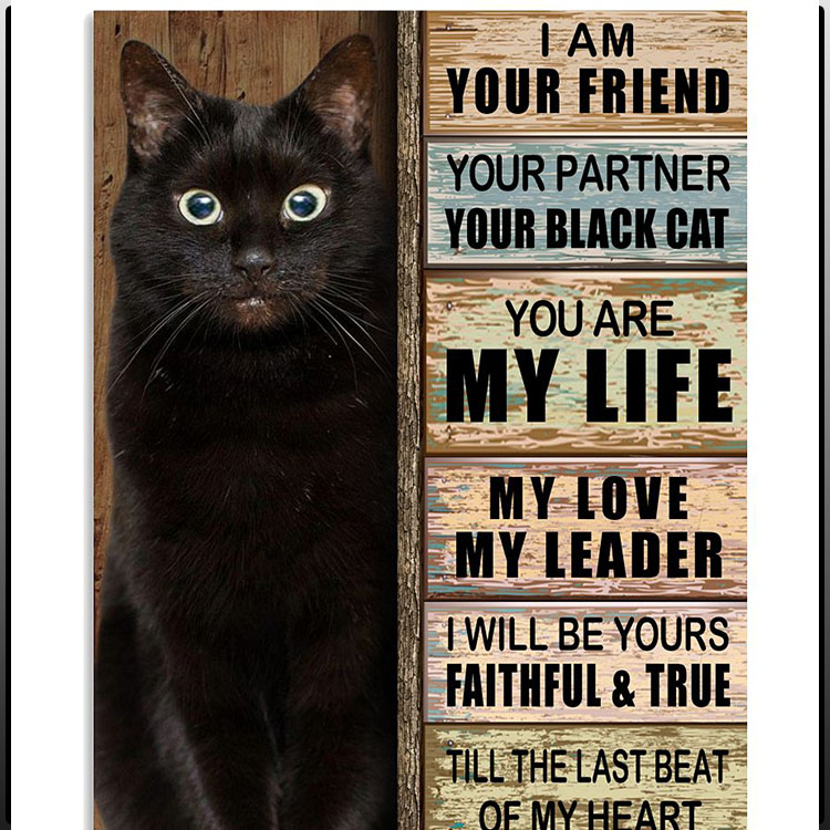 I am your friend your partner your black cat you are my life poster
