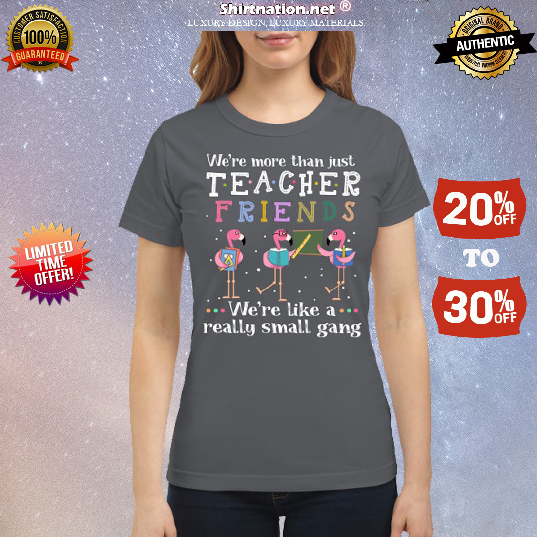 Flamingo we are more than just teacher we are like a small gang classic shirt