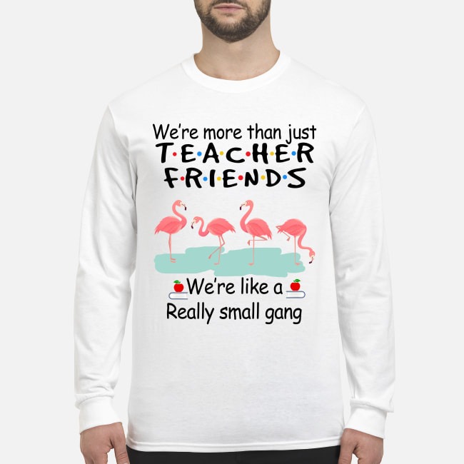 Flamingo we are more than just teacher we are like a small gang men's long sleeved shirt