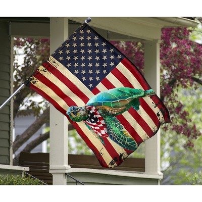 Turtle American US flag3