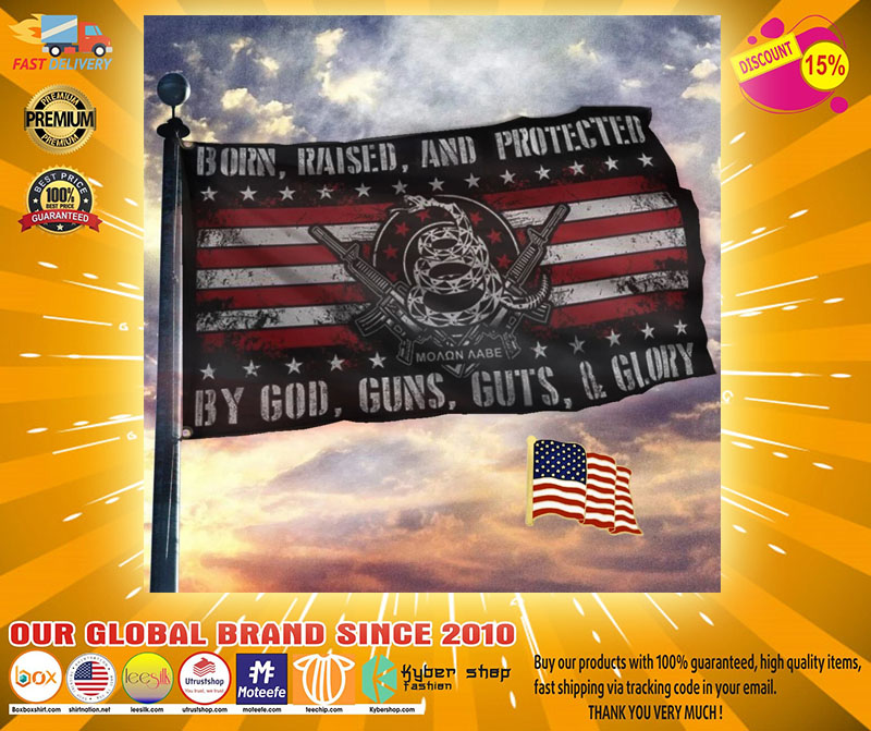 Born raised and protected by god guns guts and glory flag21