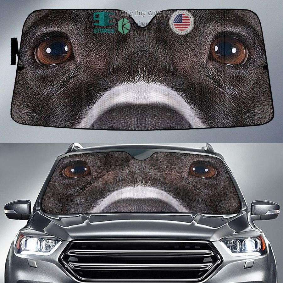 american staffordshire terrier dog eyes car sun shade 1 61866